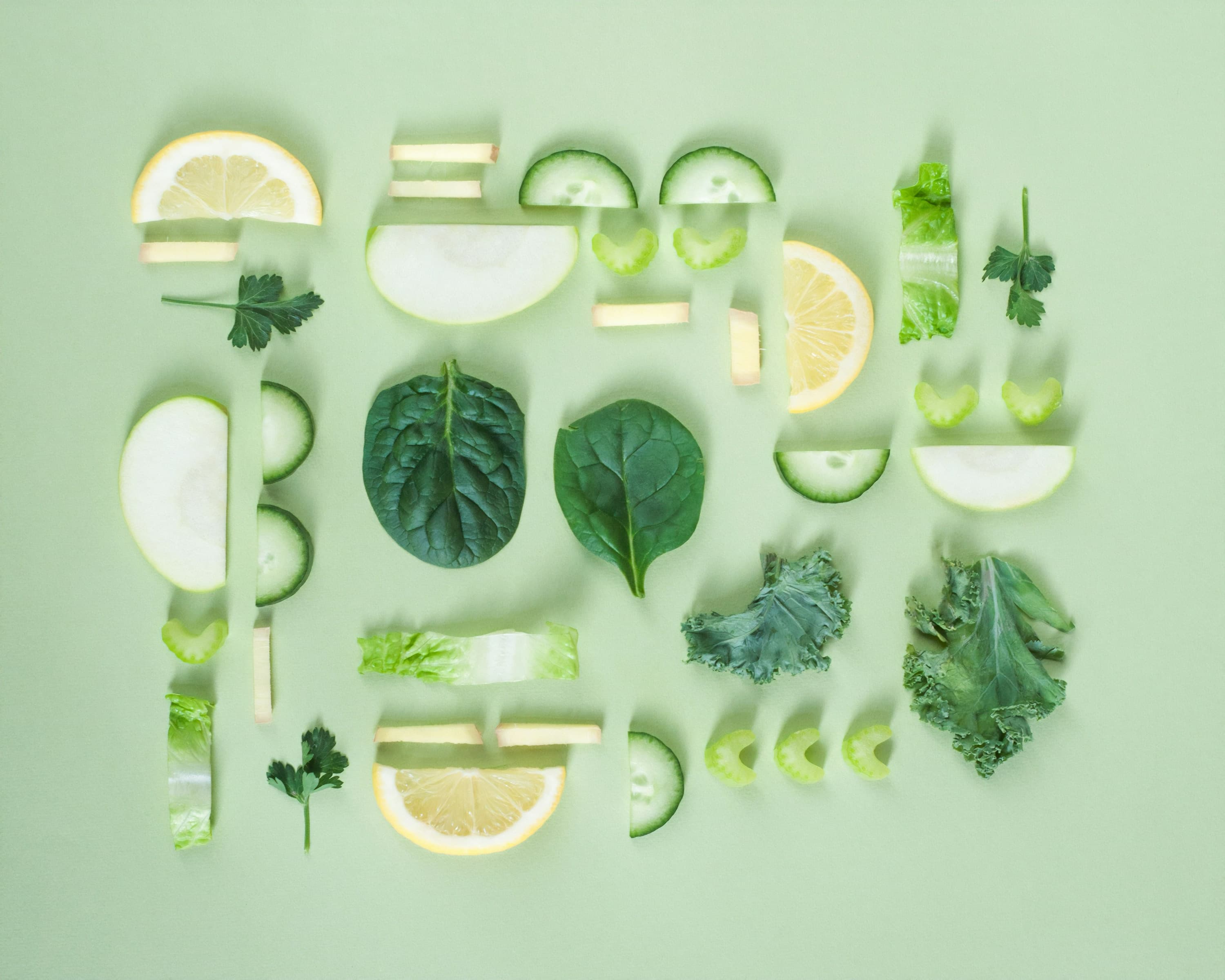 🥬 친환경 채소 모음